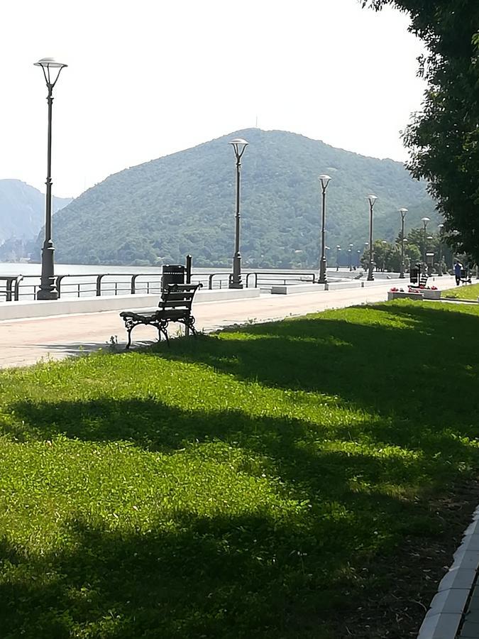 Apartman Bogic Golubac Exteriör bild